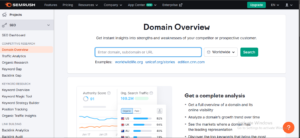 SEMrush Domain Overview